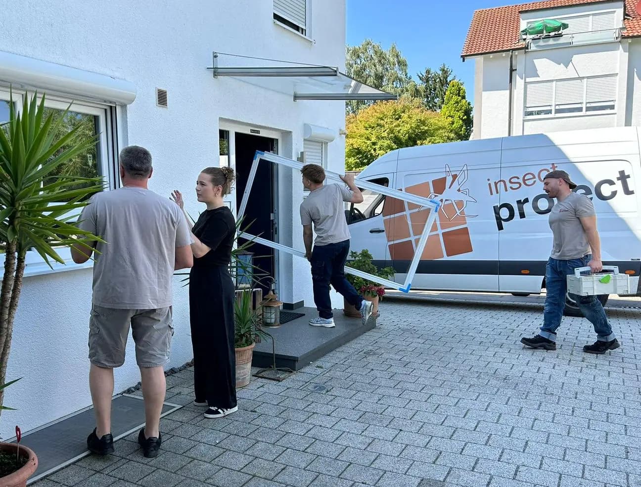 Insektenschutz für Fenster